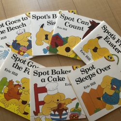 授業で使う予定の書籍たち